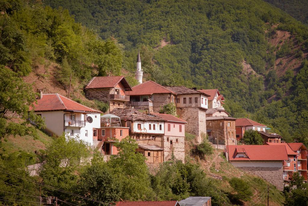 Radika View House Apartment Galicnik Bagian luar foto